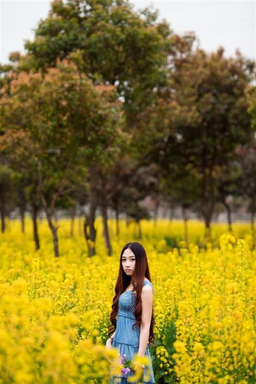 av码在线