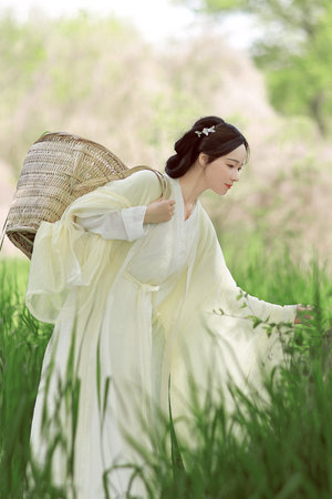 带着洋妞妻子参加聚会在线观看